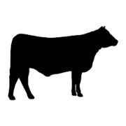 Alderspring Ranch logo